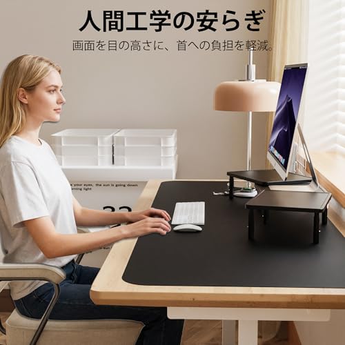 デュアルモニタースタンド 4