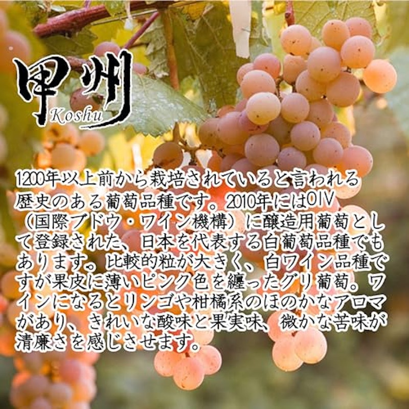 シャンモリ GI山梨 甲州 6