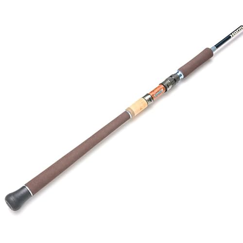 Staccato 98 MHSS-HX 2