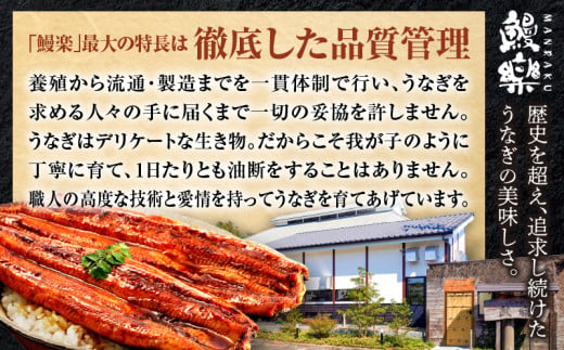 九州産 うなぎ蒲焼 5