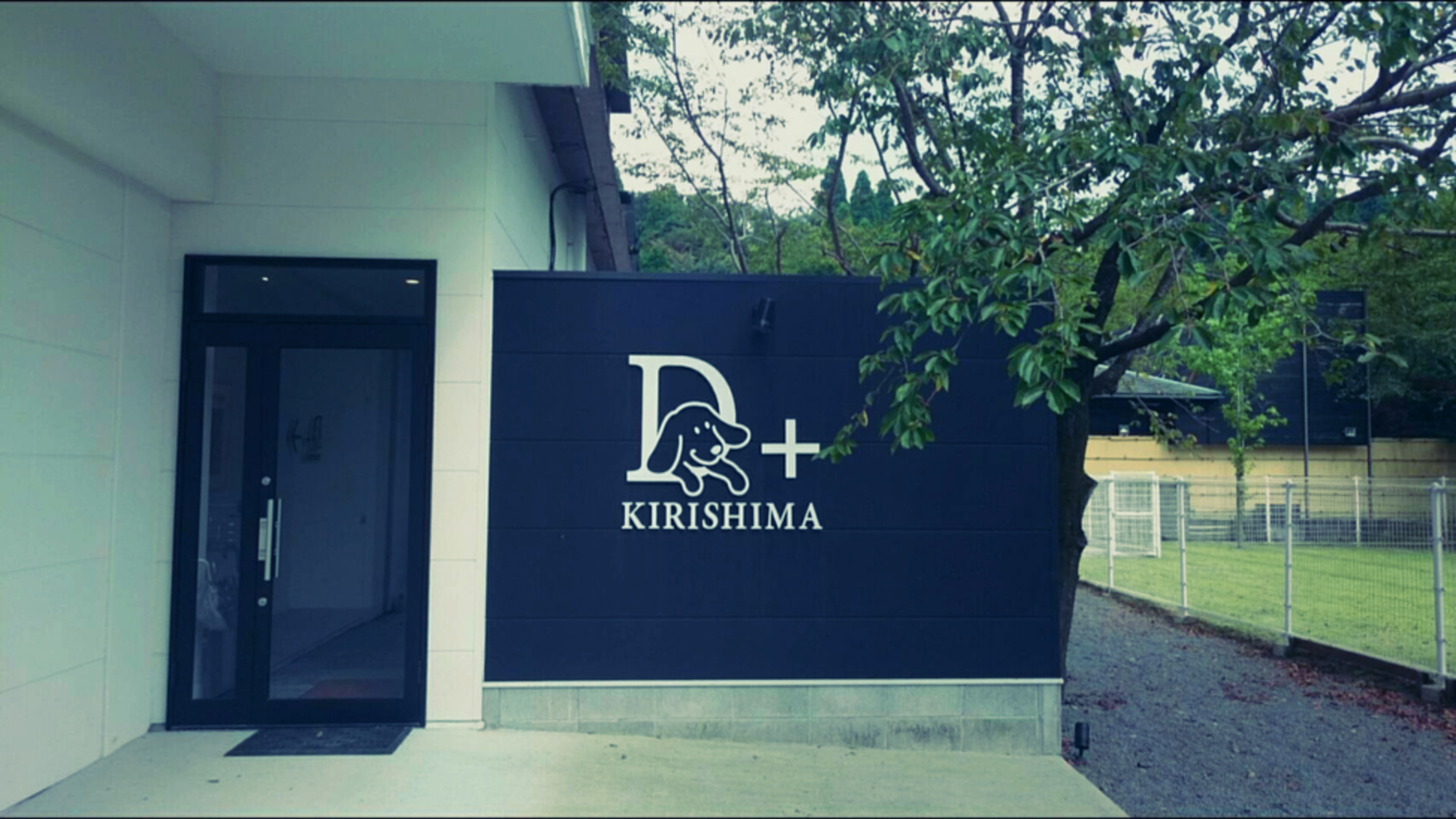 D+KIRISHIMA 1