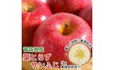 りんごのふるさと納税返礼品のおすすめ人気ランキング【2026年8月】 5