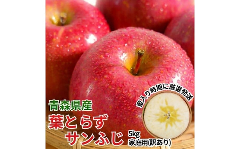 葉とらずサンふじ 1