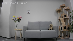 SwitchBot 見守りカメラ W1801200をレビュー!クチコミ・評判をもとに徹底検証 2