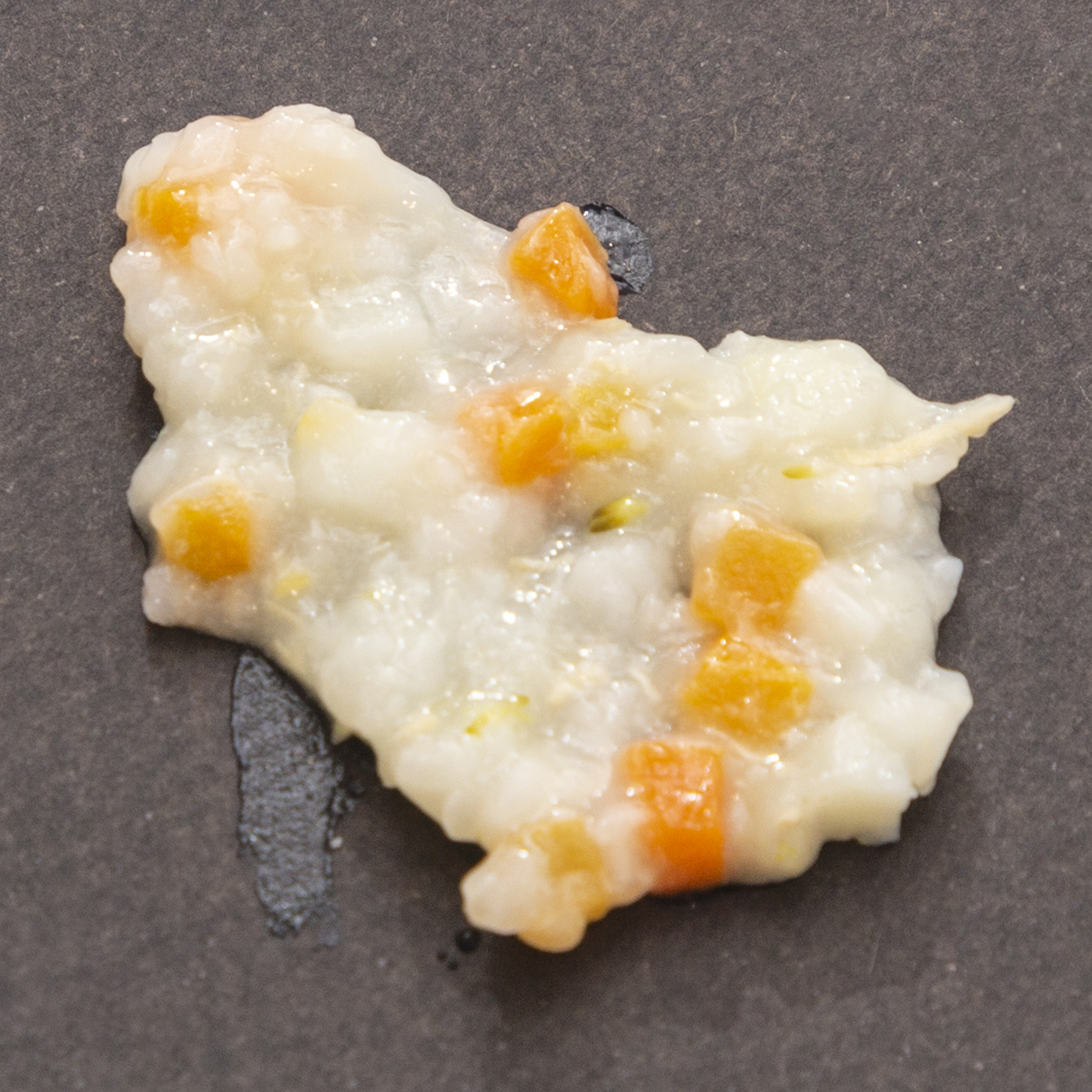チキンと野菜のリゾット 8