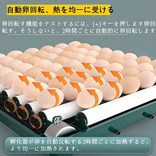 全自動スマ孵卵器 3