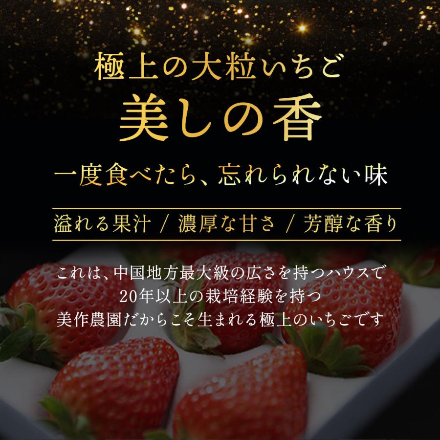 美しの香 クレオパトラおいCベリー 4