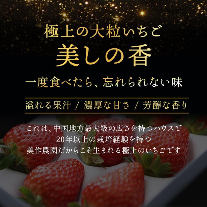 美しの香 クレオパトラおいCベリー 4