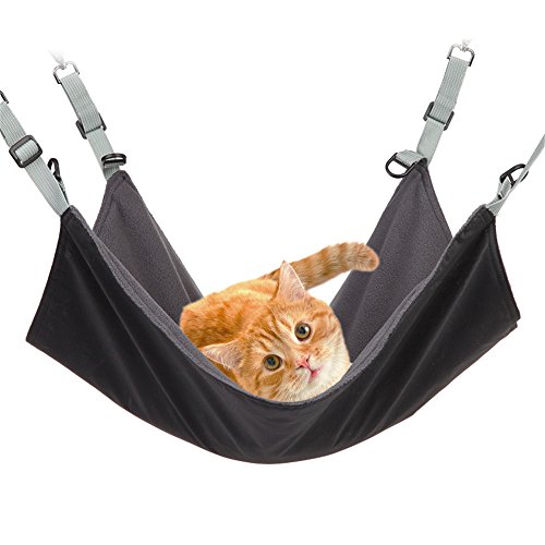 猫のハンモック 1