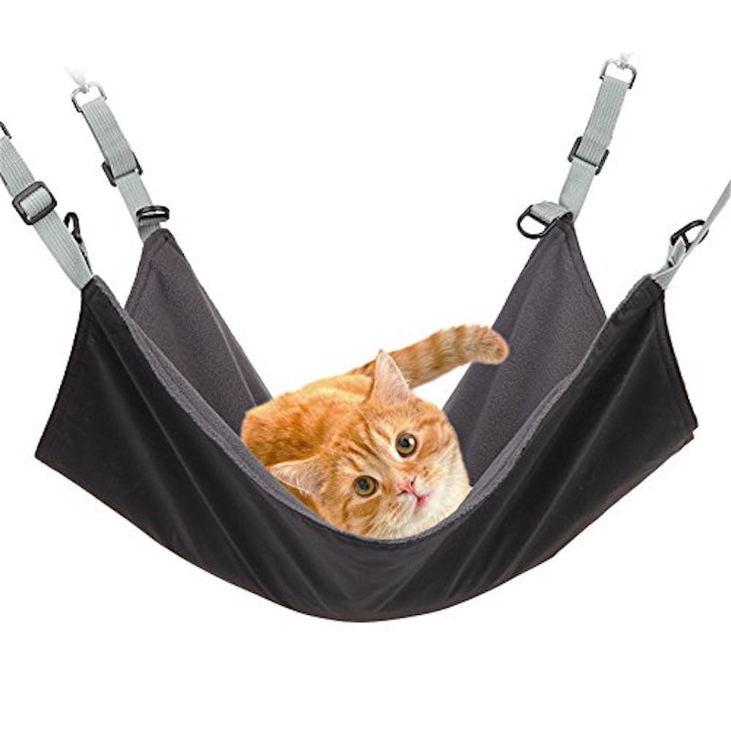 猫のハンモック 1