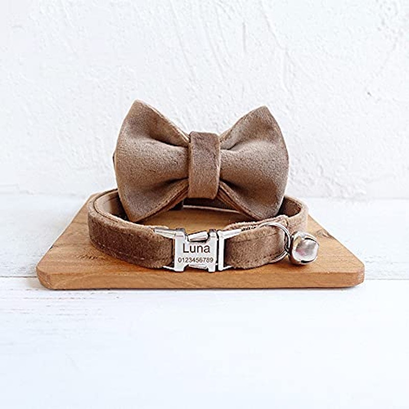 猫用首輪 3