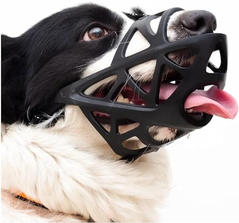 犬用口輪カバー 1