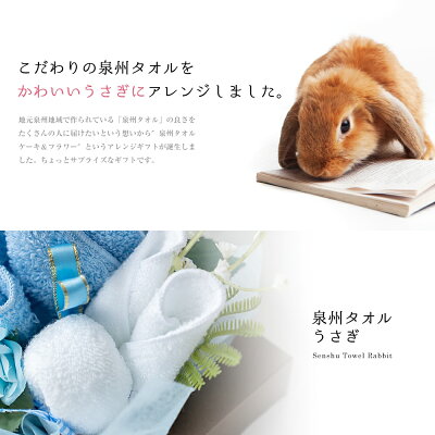 泉州タオルうさぎ 2