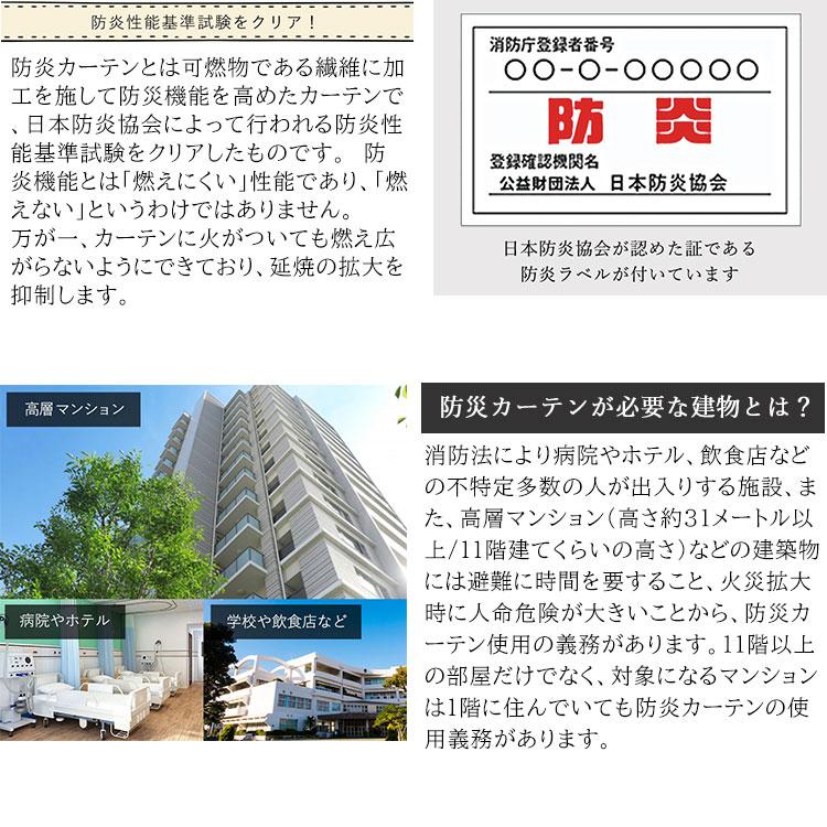 フローラル 6