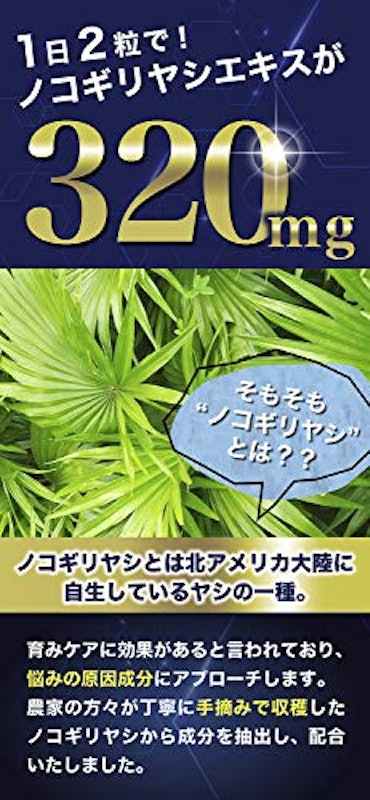GROWTH UP 2