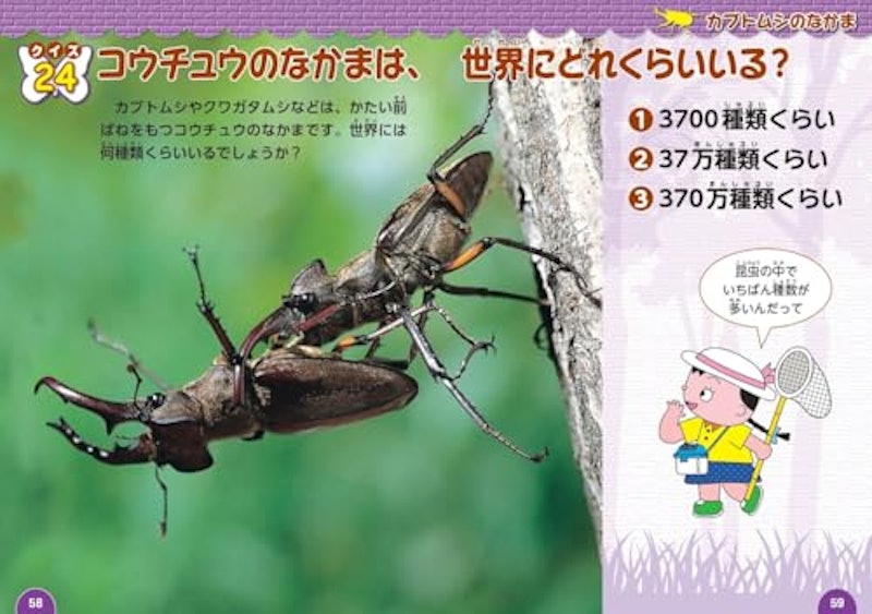 昆虫のクイズ図鑑 4