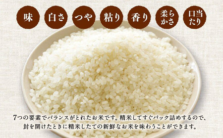 特Aランク 無洗米 旭川産ななつぼし 3