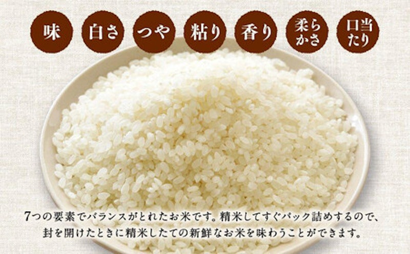 特Aランク 無洗米 旭川産ななつぼし 3
