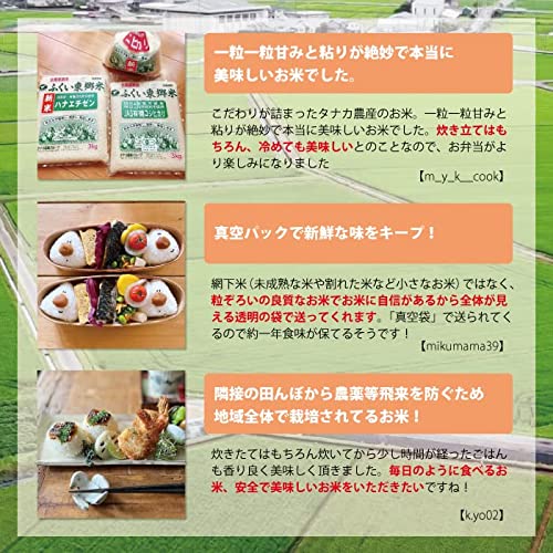 有機JAS東郷米コシヒカリ（白米） 6