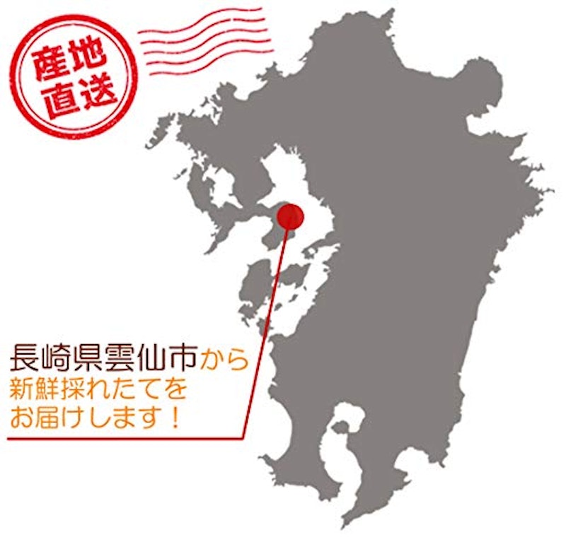 特選太陽卵 赤玉 7