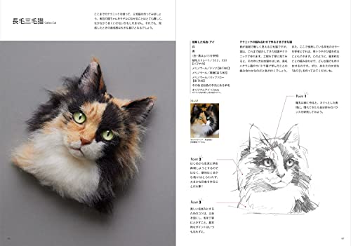 羊毛フェルトから生まれる猫の肖像 「わくねこ」の作り方 14