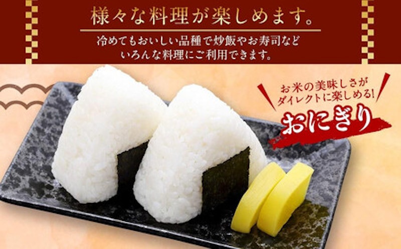 特Aランク 無洗米 旭川産ななつぼし 4