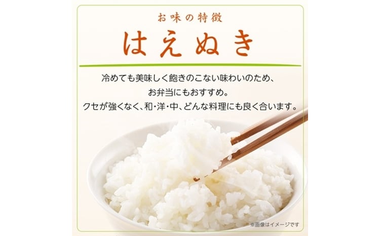 山形県産はえぬき 5kg×2袋 2