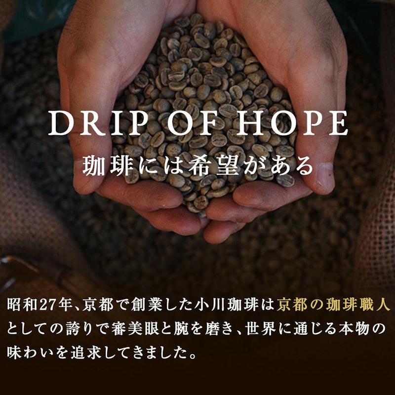 小川珈琲 炭焼珈琲 アイスコーヒー 無糖 3