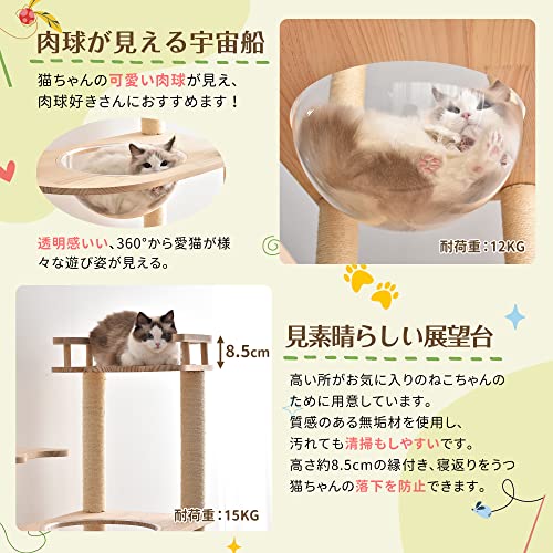 キャットタワー  4