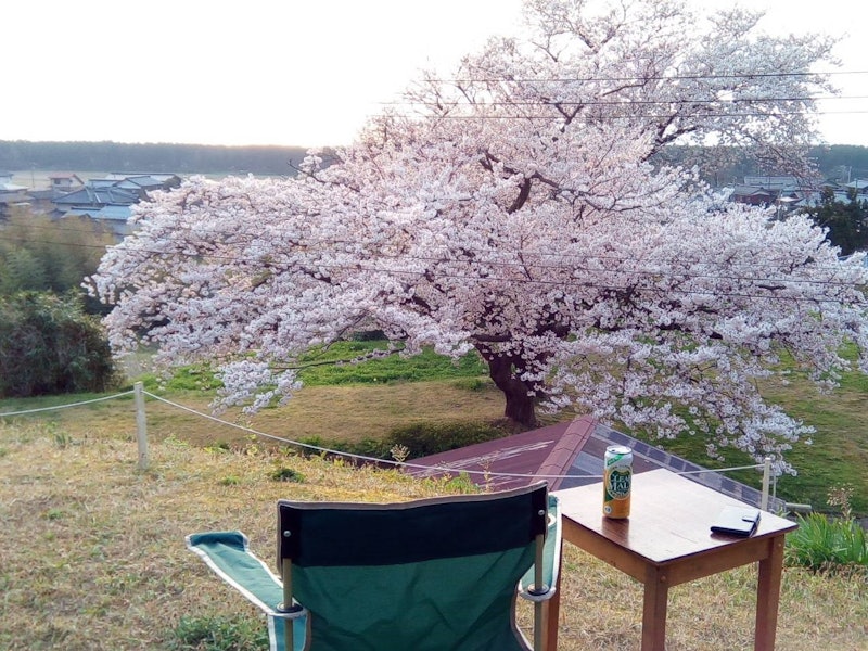 海が見えるコテージ&キャンプ 2
