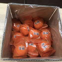 和歌山県産冷凍温州みかん 2