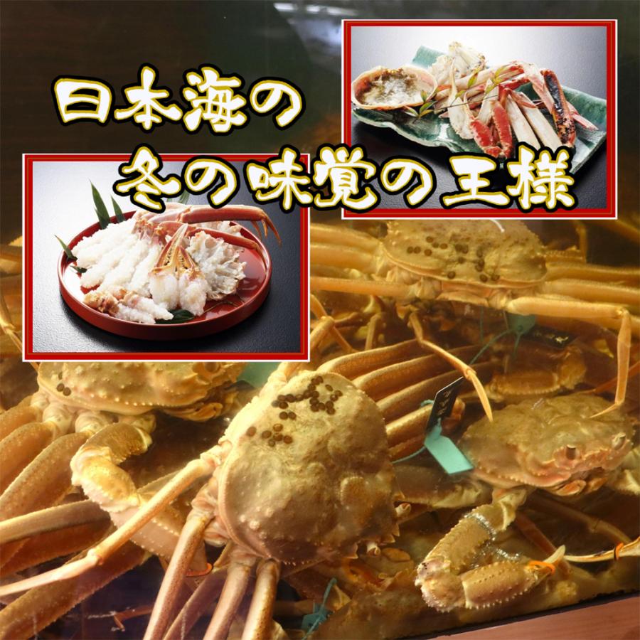 加能ガニ 2
