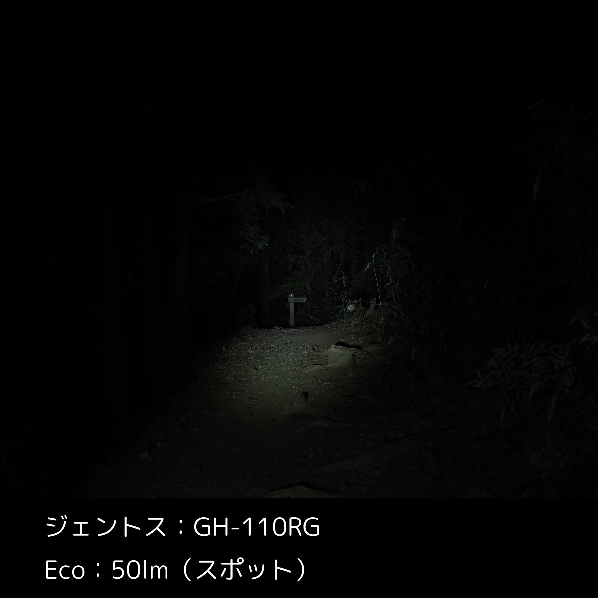 GH-110RG 8