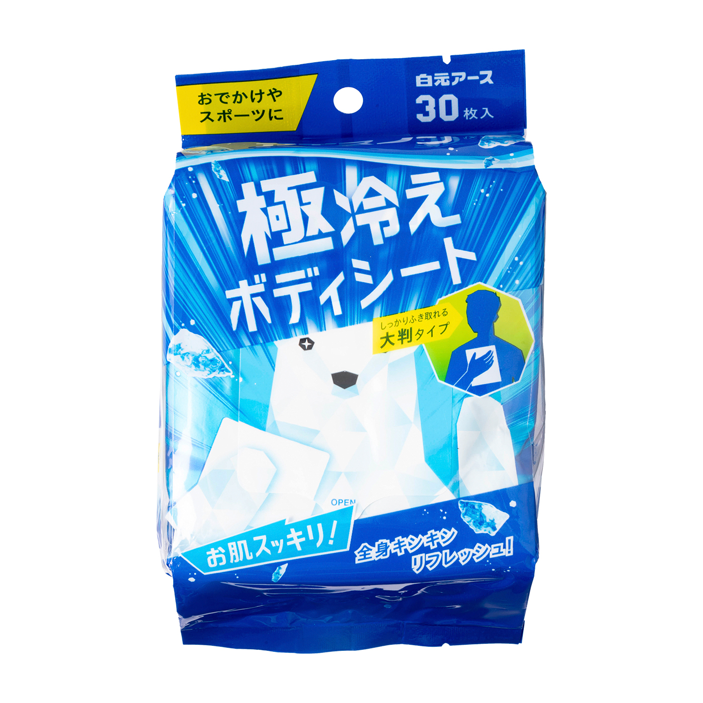 日本メーカー新品 白元アースアイスノン ２０枚×２個入 極冷え洗顔