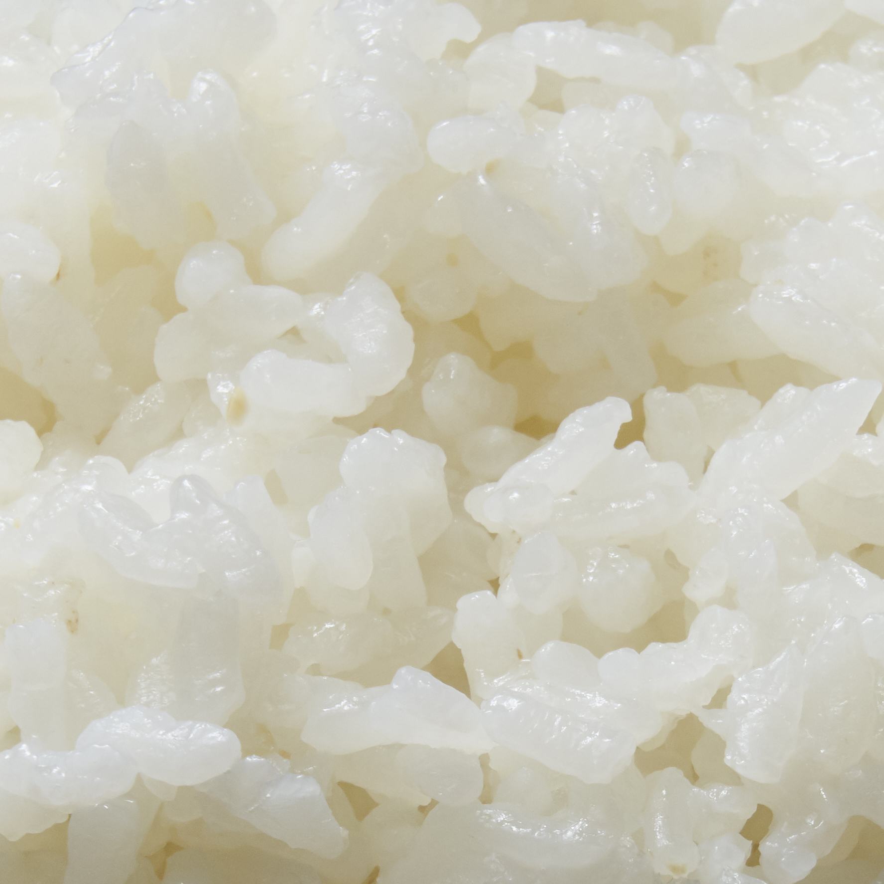 おひとりさま用超高速弁当箱炊飯器 9