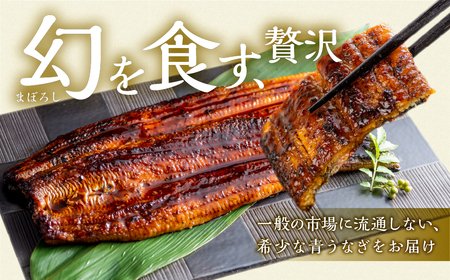 厳選 幻の青うなぎ 蒲焼 2