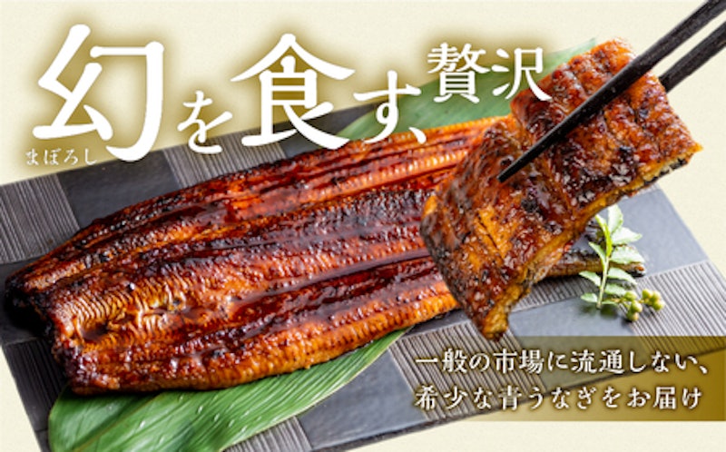 厳選 幻の青うなぎ 蒲焼 2