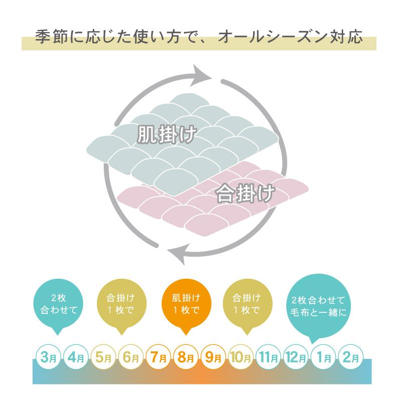 2枚合わせ 羽毛掛布団  6