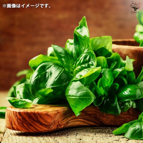  栽培セット 3
