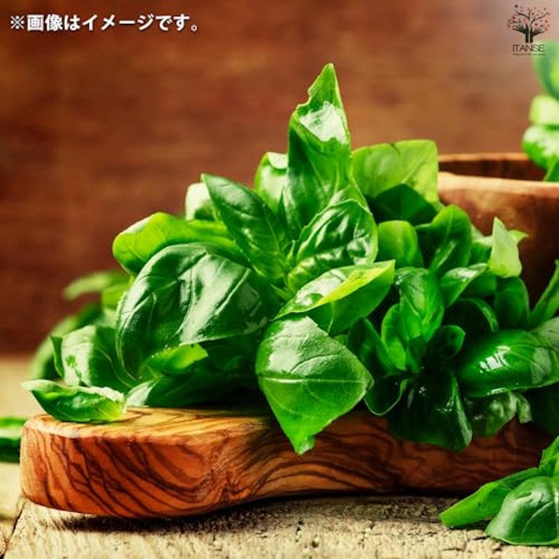 栽培セット 3