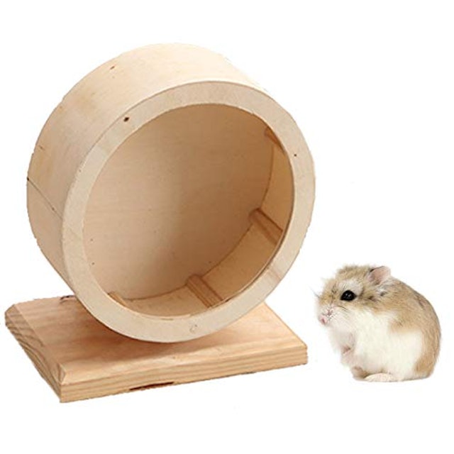 ハムスター用回し車のおすすめ人気ランキング9選 Mybest