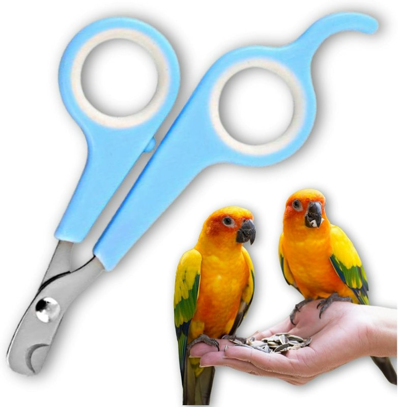 小動物用爪切り 1