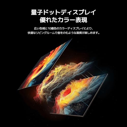 チューナーレステレビ 100インチ 3