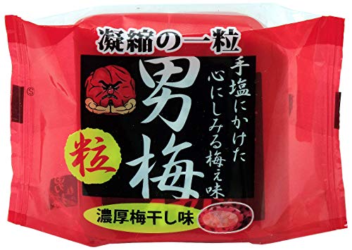 アサヒグループ食品 梅ぼし純 小袋 12粒 ×20個賞味期限2024 09