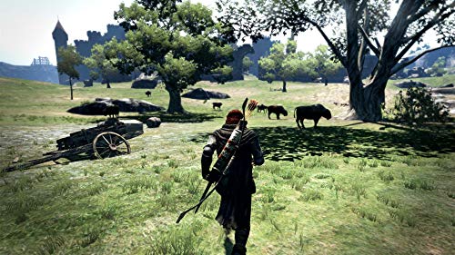 ドラゴンズドグマ：ダークアリズン 2