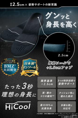 シークレットインソール  2