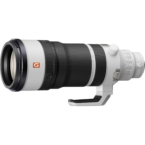 FE 100-400mm F4.5 GM OSS 1