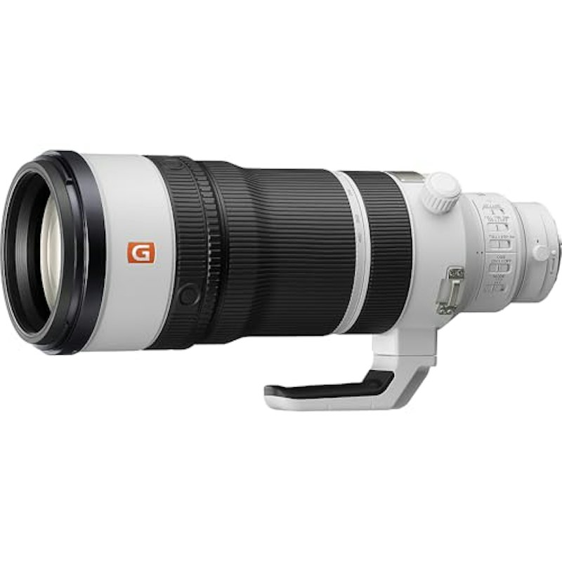 FE 100-400mm F4.5 GM OSS 1