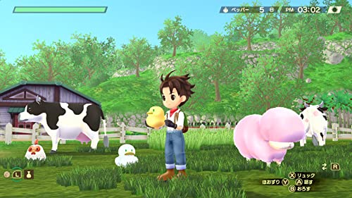 牧場物語 Welcome！ワンダフルライフ 2