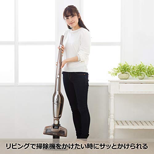 エルゴラピード リチウム 4